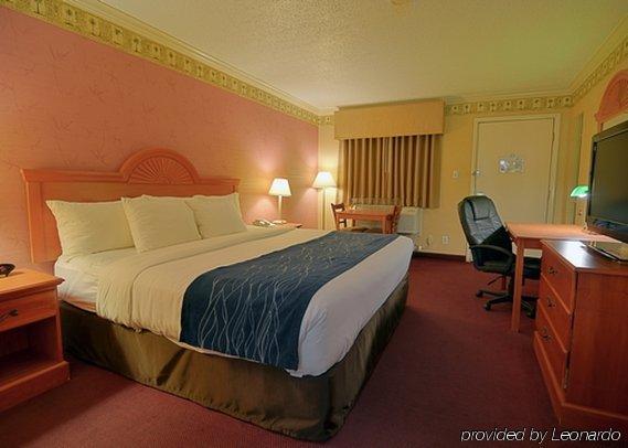 Comfort Inn & Suites Quakertown Exterior photo